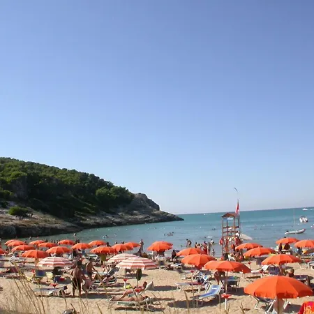 D'amato Couette-café