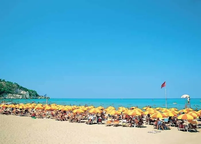 D'amato Couette-café