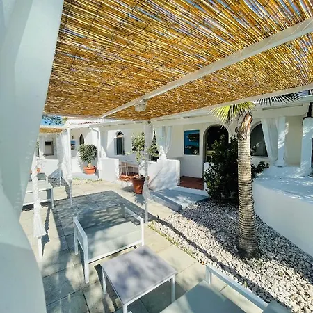 D'amato 4* بيسْكيتْشّي