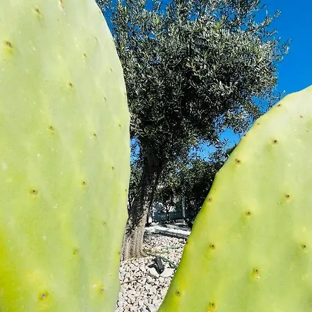 D'amato Bed & Breakfast