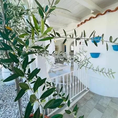 فندق مبيت وإفطار D'amato بيسْكيتْشّي