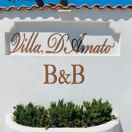 D'amato 4* بيسْكيتْشّي