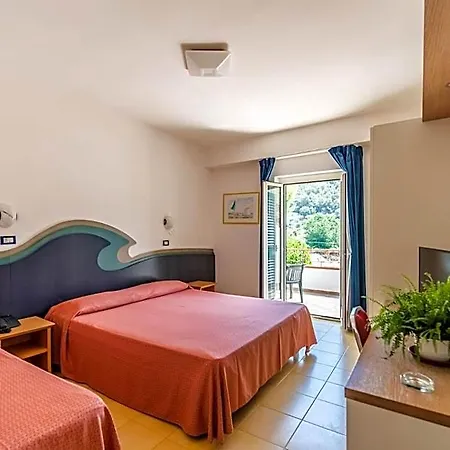 D'amato 4*