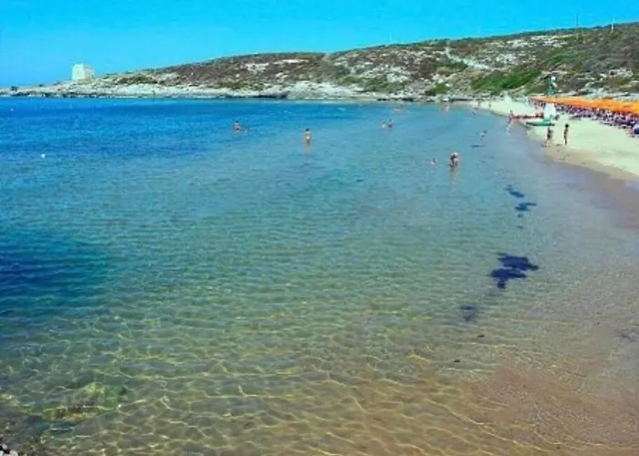 D'amato לינה וארוחת בוקר פסקיצ'י