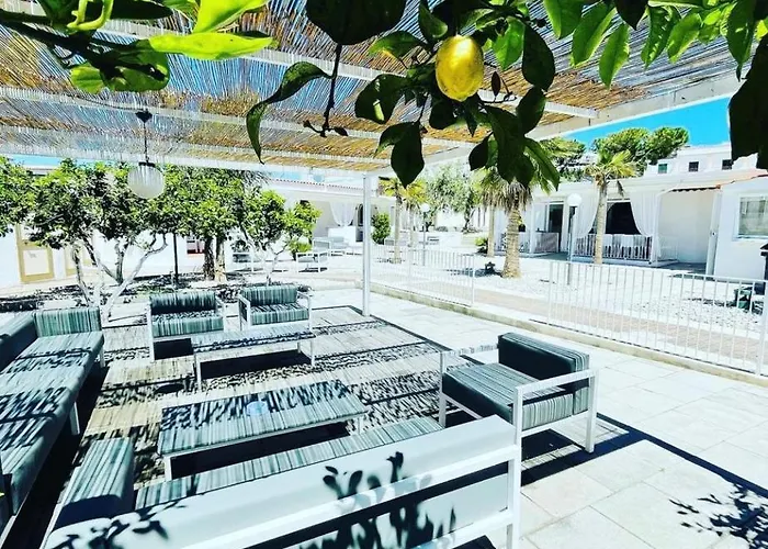 D'amato פסקיצ'י