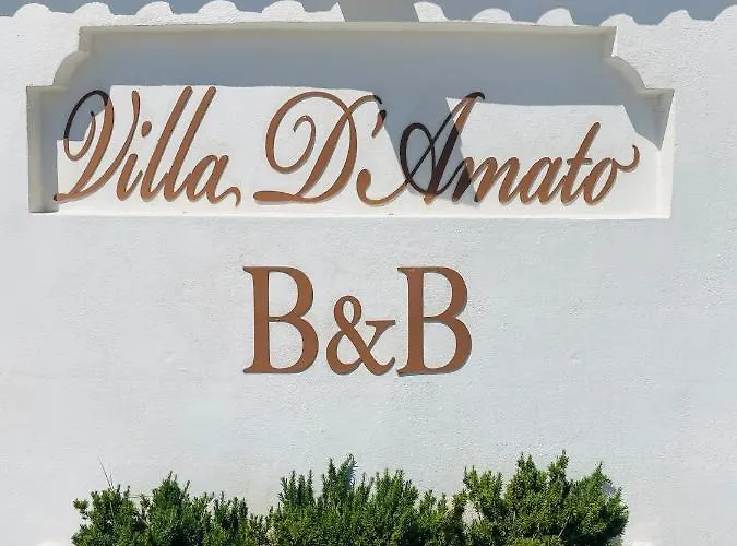 D'amato 4* פסקיצ'י