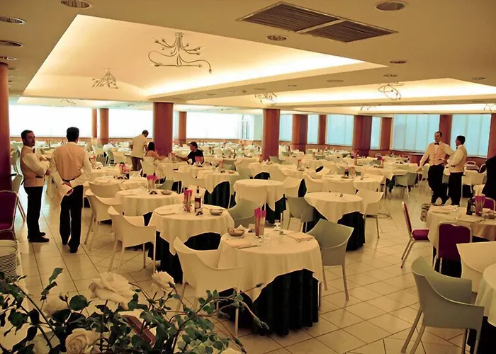 D'amato 4* פסקיצ'י