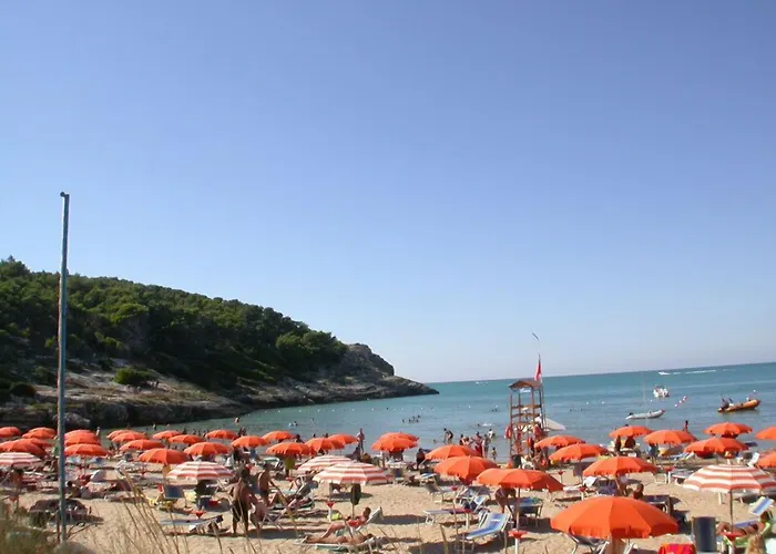 D'amato Отель типа 